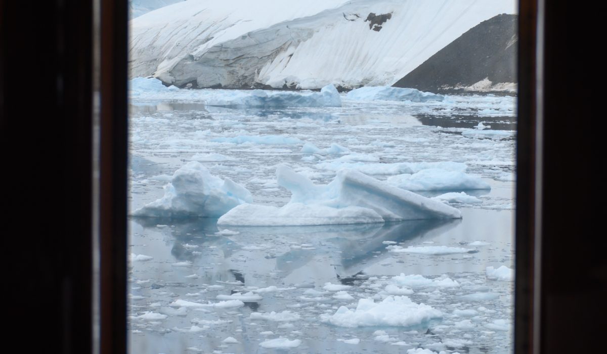 Kennedynz-InsiderExpeditions-Antarctica-337