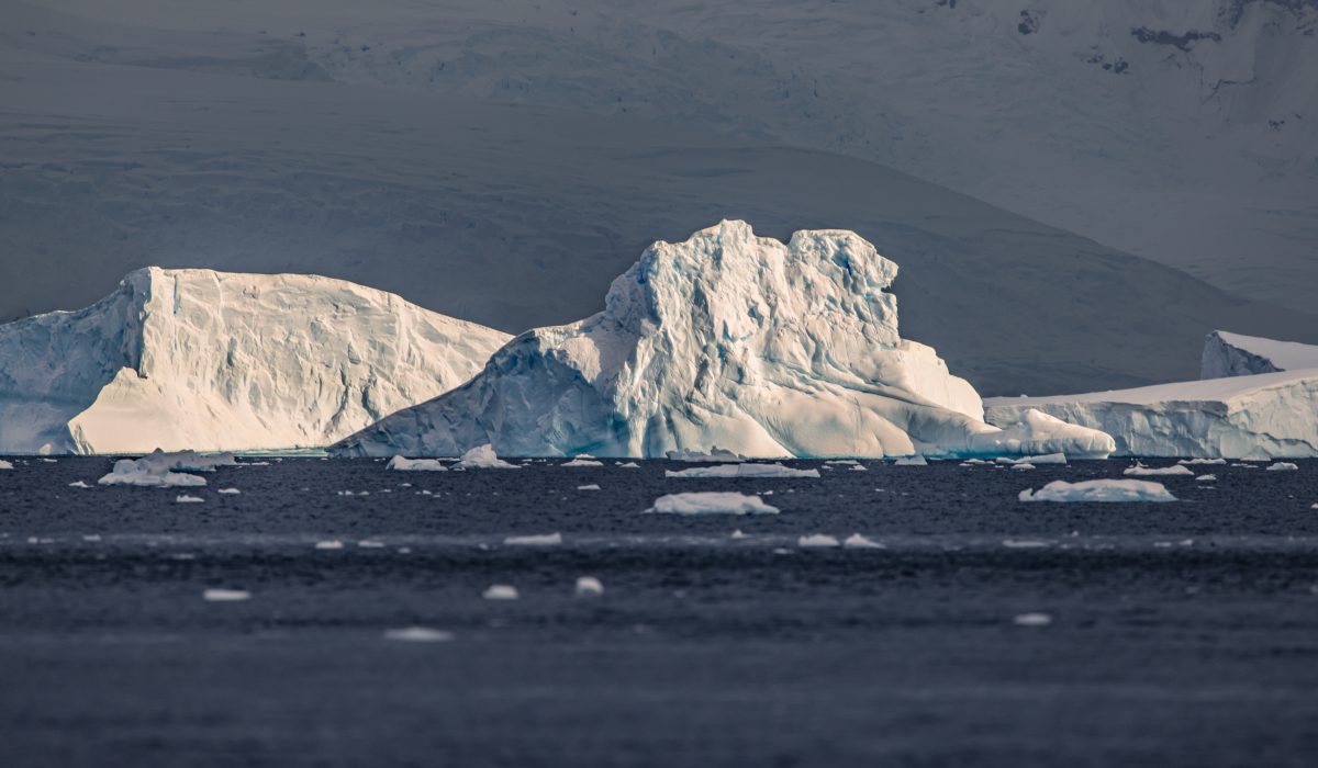 Wenyan_Wang(Qiu_Bi)_251108_0M2A9036