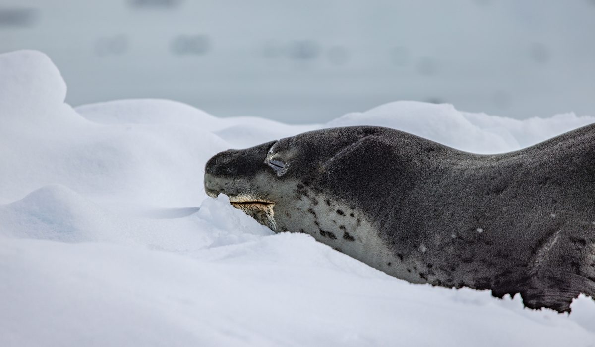 Wenyan_Wang(Qiu_Bi)_251108_0M2A9978