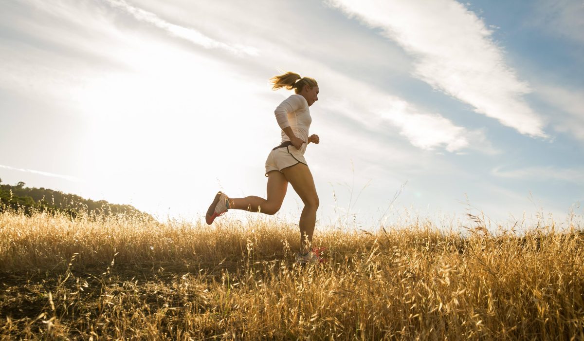 Ready_To_Run_056 (1)