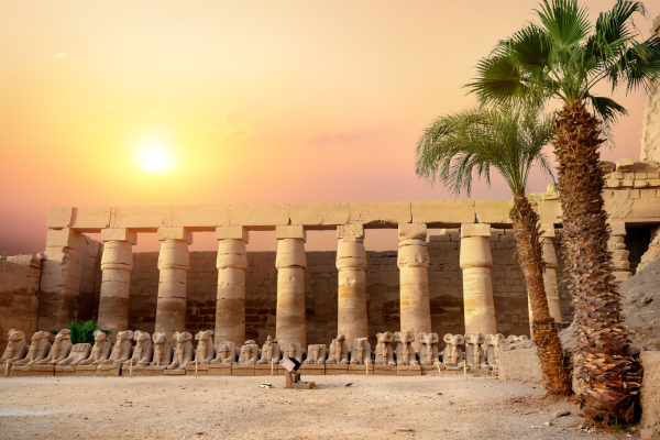 Lifebook Egypt web assets (13)