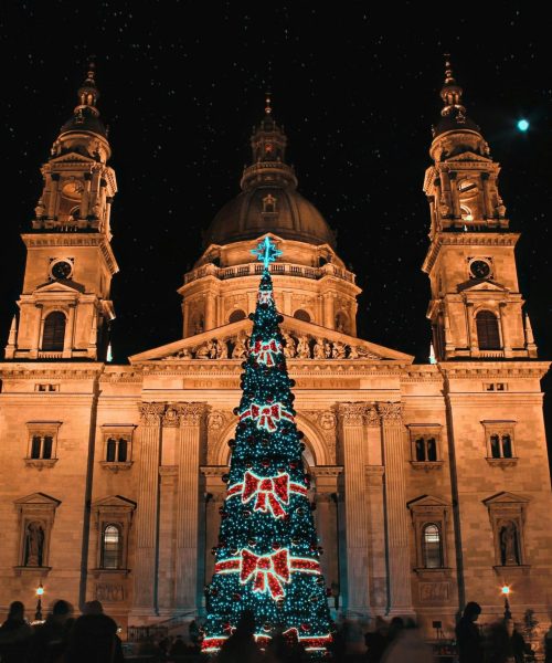 pexels-bojana-noemi-molnar-3779409-6430074