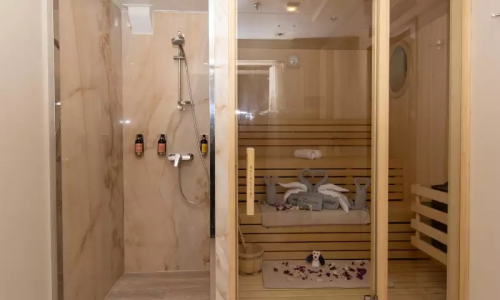 quark-expeditions-world-explorer-sauna